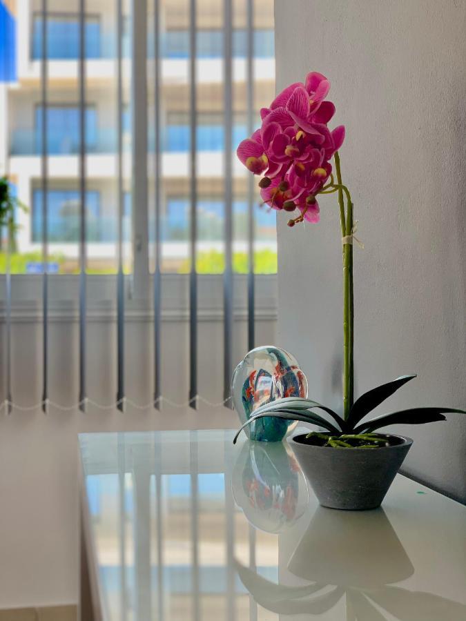 דירות Paphos Diana Townhouse 1 מראה חיצוני תמונה